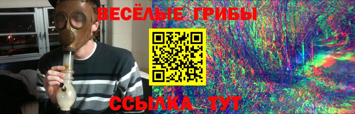 Псилоцибиновые грибы ЛСД  Вход с VPN  Красный Сулин  Псилоцибиновые грибы Psilocybine cubensis 
